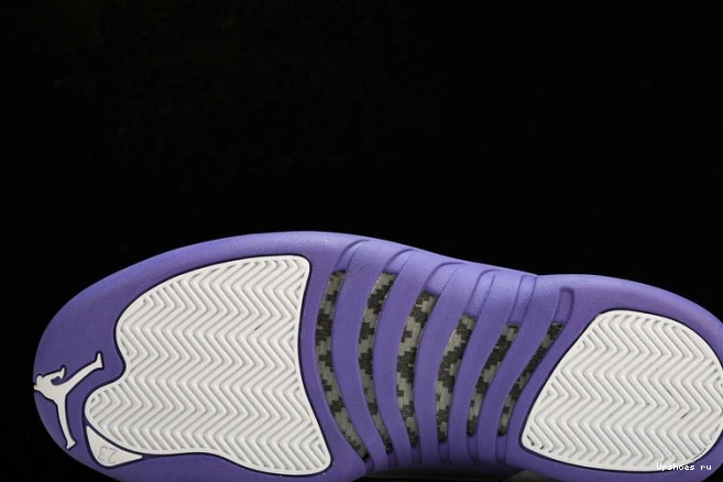 CT8013-150 Jordan Retro Purple 12 1007